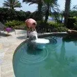 Pool cleaning services