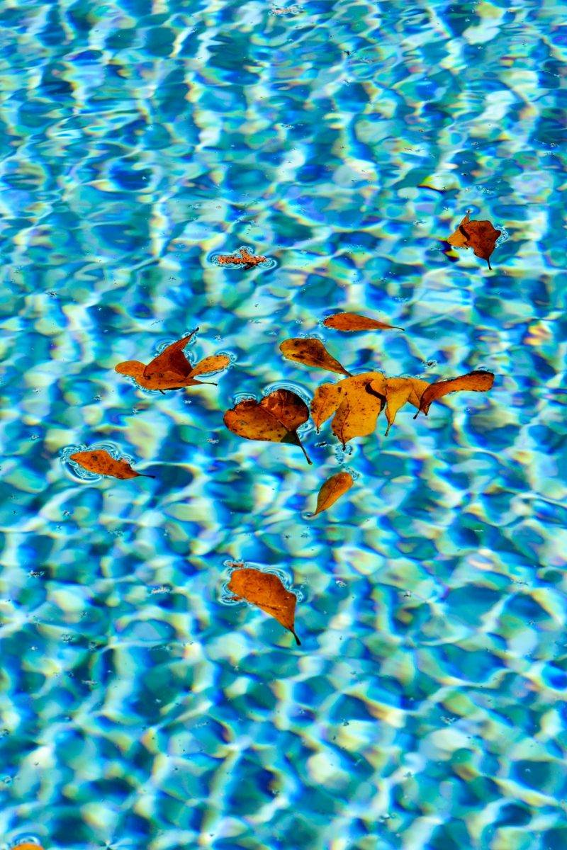 Ask David: Does My Houston Pool Need Cleaning in Winter?
