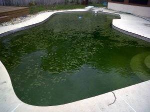 Green Pool Water
