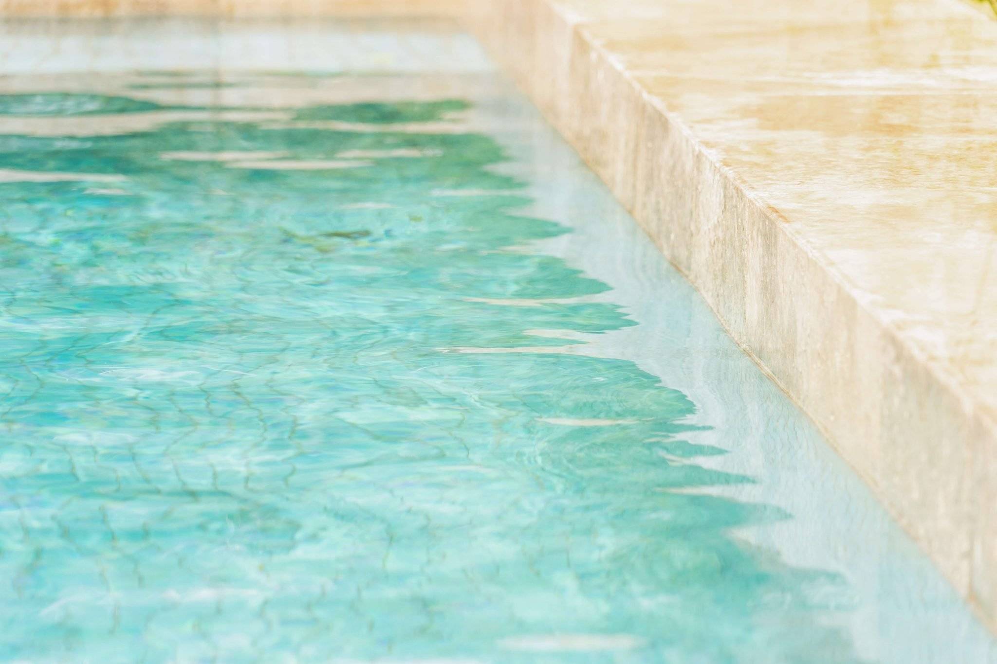 Реферат: Algae And Bacteria In Pools And Hot
