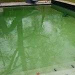 What’s Included With Seasonal Pool Cleaning